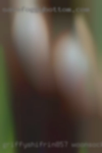 griffyShifrin857 Woonsocket Rhode Island